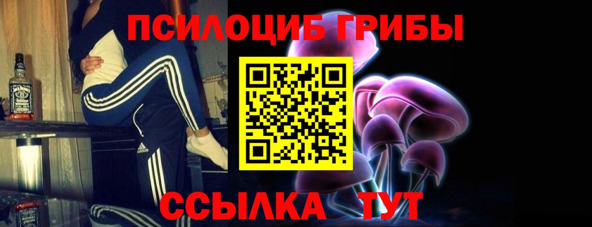 Маркс  Галлюциногенные грибы Psilocybe  Вход с VPN 